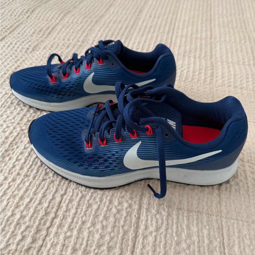 Nike Zoom Pegasus 34